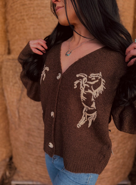 Midnight Ranch Embroidered Horse Cardigan🐴🤎