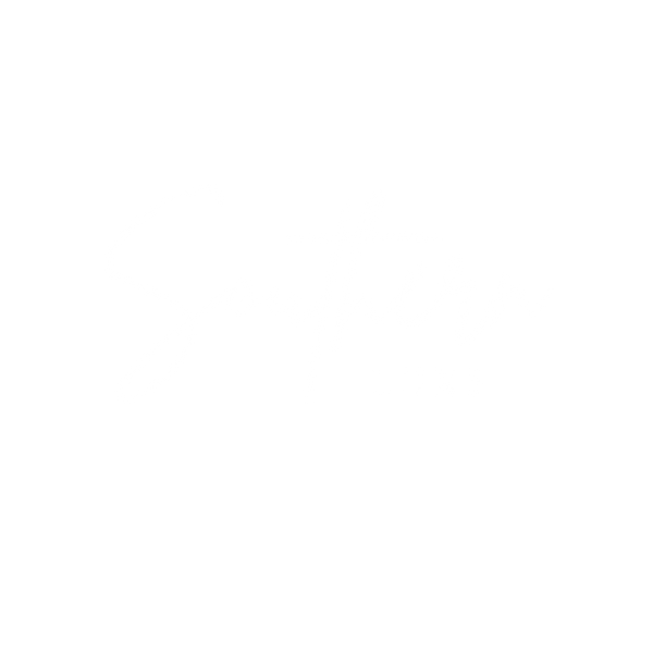 Southern Luxe Boutique